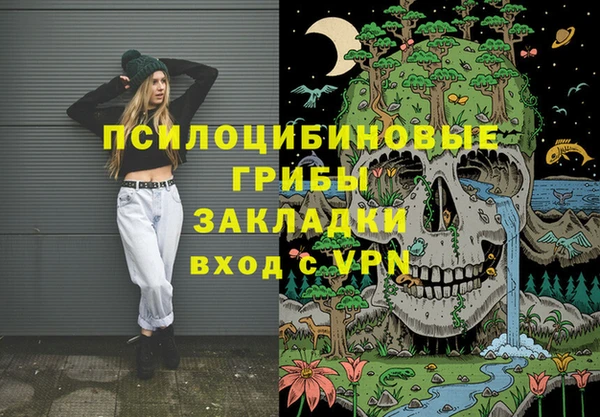 таблы Белокуриха