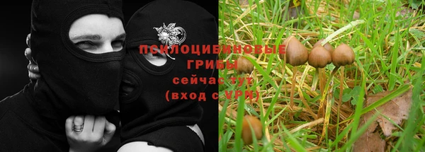 прущая мука Беломорск