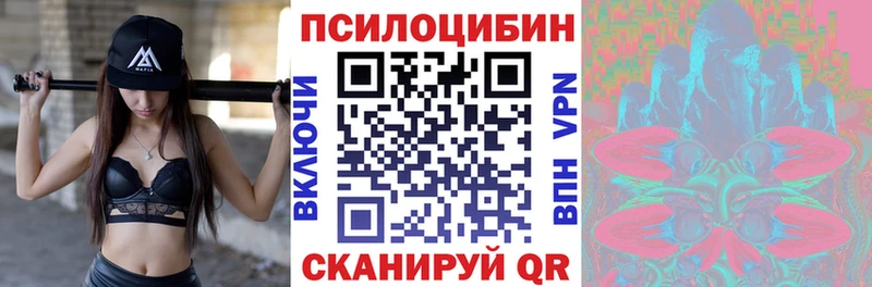 цена   Окуловка  Псилоцибиновые грибы прущие грибы 
